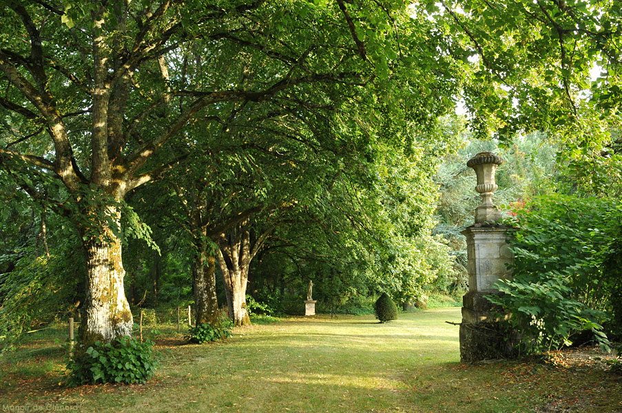 L'allée de tilleuls